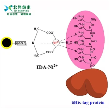 Магнитные гранулы IDA для очистки белка с меткой гистидина | Магнитные гранулы для разделения белка His-tag